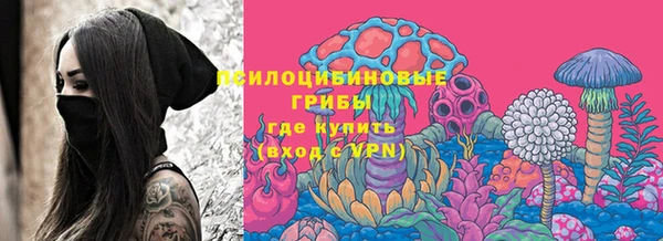 mdpv Богданович