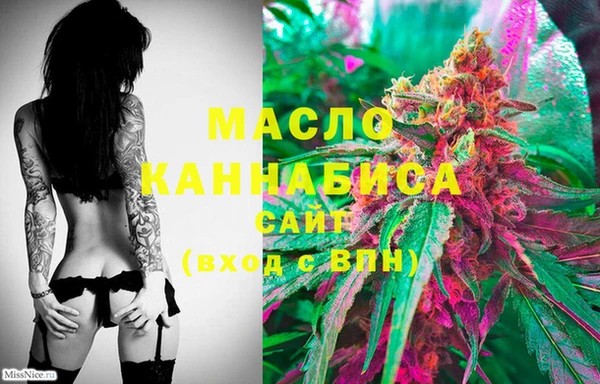 стаф Бородино