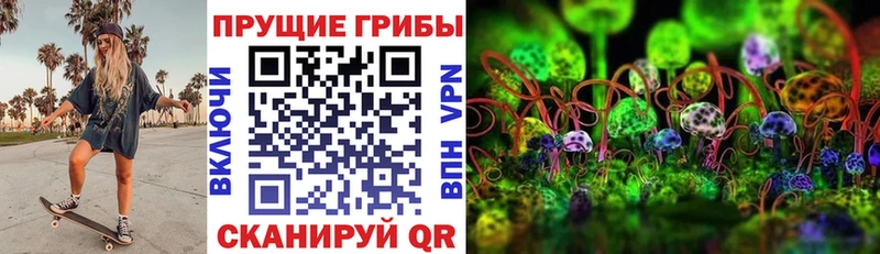 omg ТОР  Горячий Ключ  Псилоцибиновые грибы GOLDEN TEACHER 