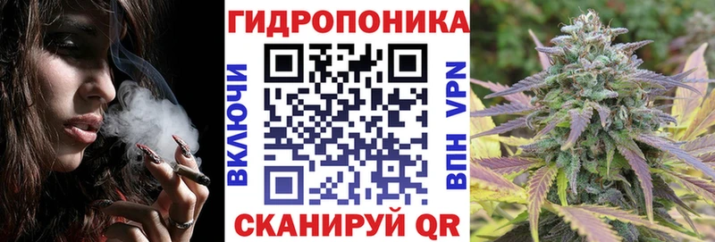 Шишки марихуана THC 21% мега tor Горячий Ключ